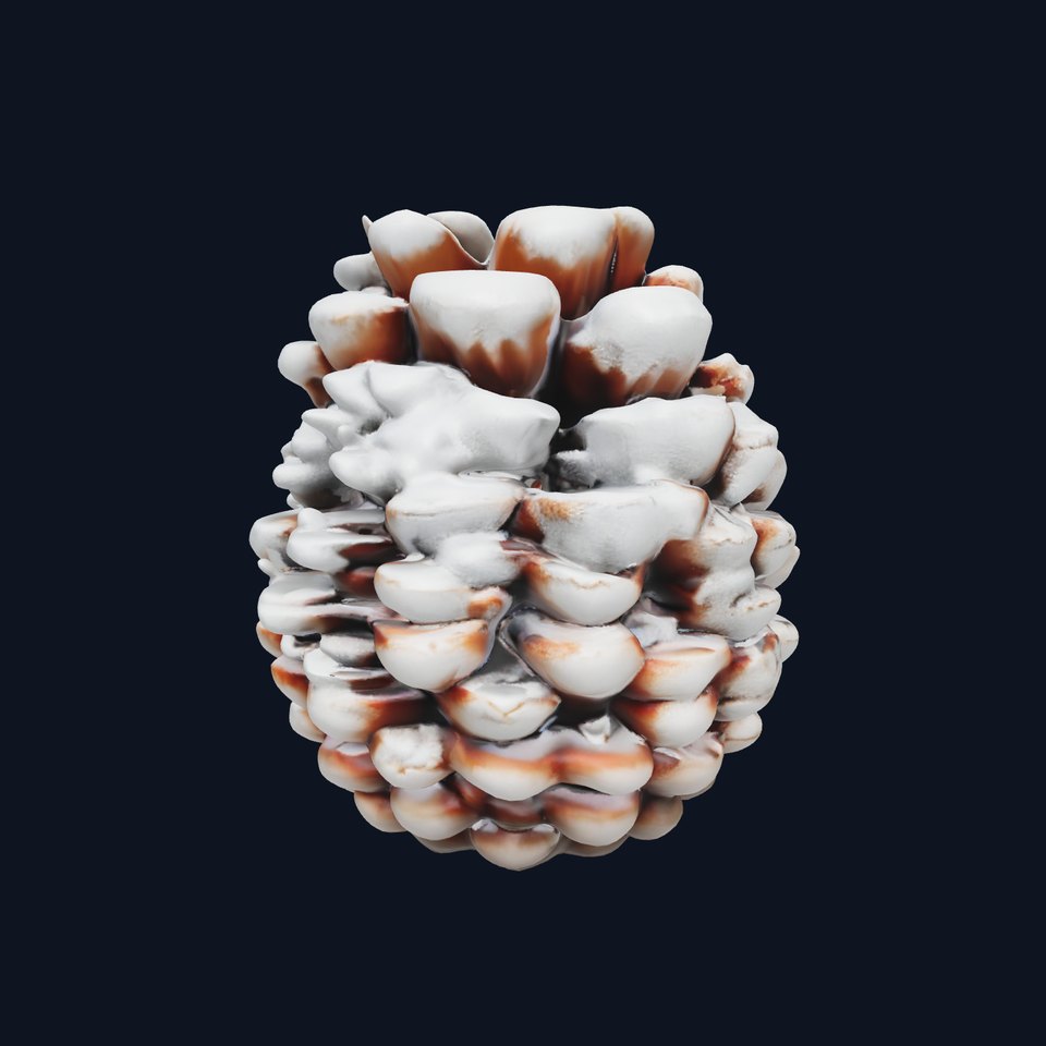 SnowDusted Pine Cone Model Pack